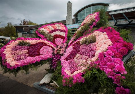 The Majestic Majesty: Meet Mika at the Bangkok Blooms Festival!